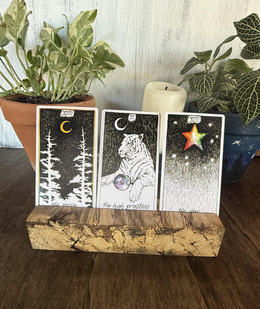 Three tarot cards on a wooden stand with plants in the background